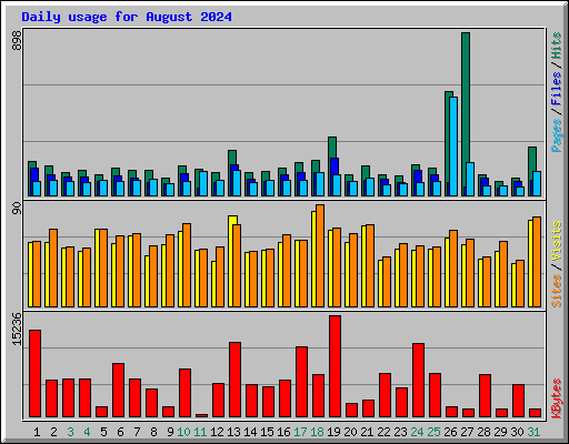 Daily usage for August 2024
