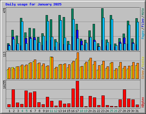 Daily usage for January 2025