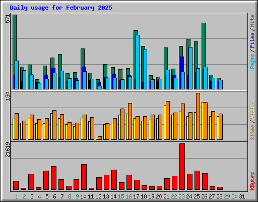 Daily usage for February 2025