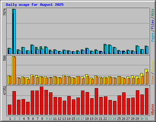 Daily usage for August 2025