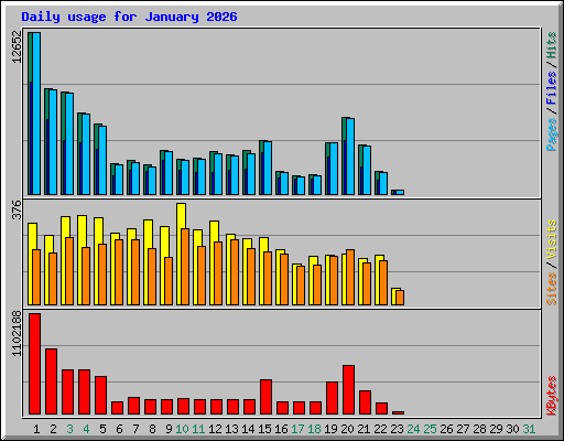 Daily usage for January 2026