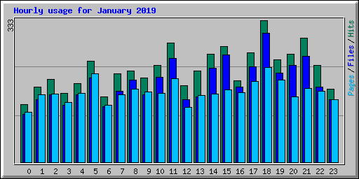 Hourly usage for January 2019