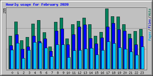 Hourly usage for February 2020