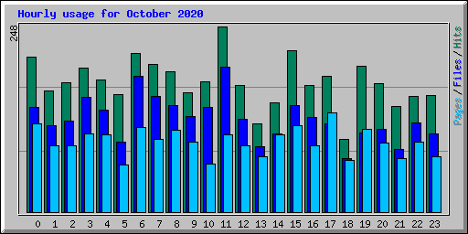 Hourly usage for October 2020