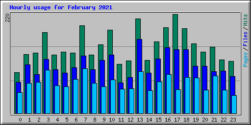 Hourly usage for February 2021