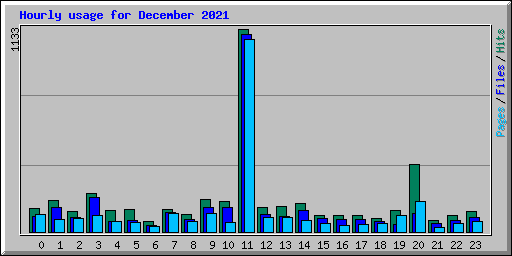 Hourly usage for December 2021
