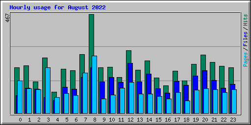 Hourly usage for August 2022
