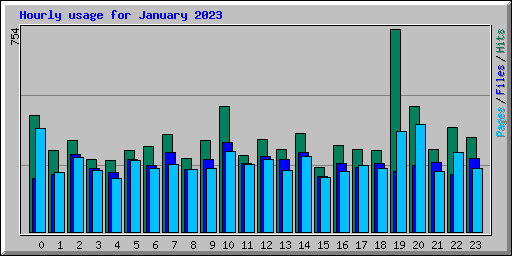 Hourly usage for January 2023