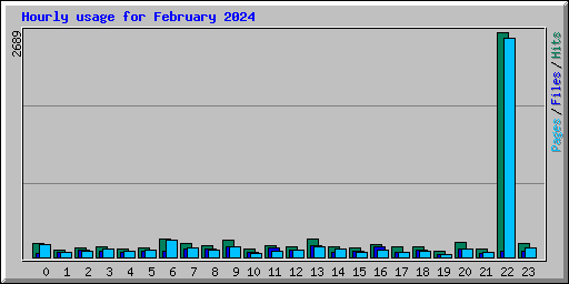 Hourly usage for February 2024