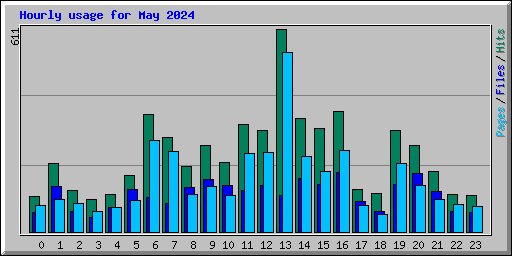 Hourly usage for May 2024
