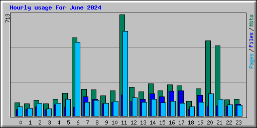 Hourly usage for June 2024