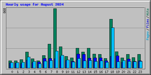 Hourly usage for August 2024