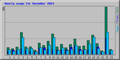 Hourly usage for December 2024