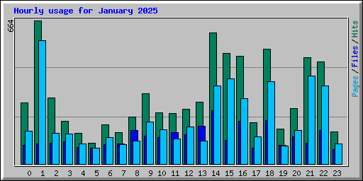Hourly usage for January 2025