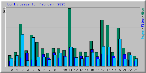Hourly usage for February 2025