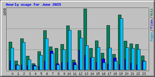 Hourly usage for June 2025