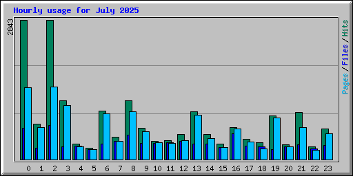 Hourly usage for July 2025