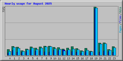 Hourly usage for August 2025