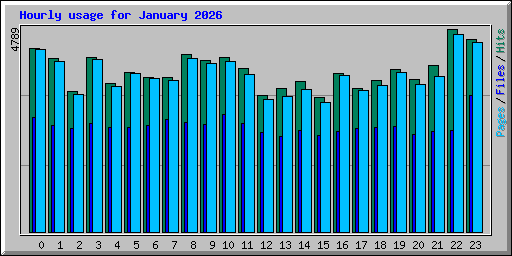 Hourly usage for January 2026