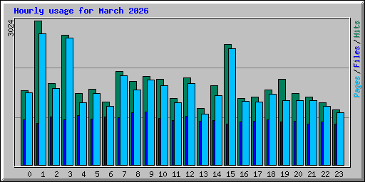 Hourly usage for March 2026